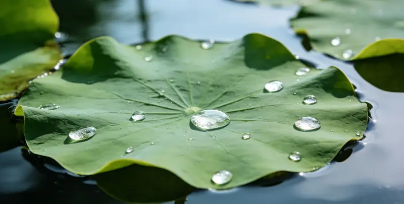 贺州乳腺癌21基因mRNA表达分析图片1