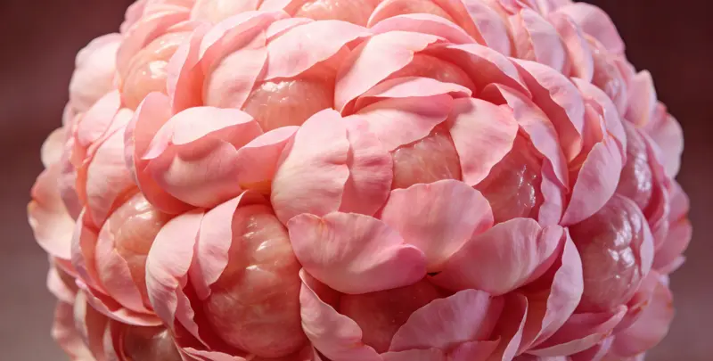 贺州BRCA1/2乳腺癌卵巢癌基因检测图片1